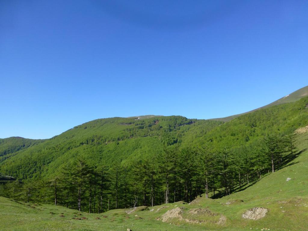 Hostal Rural Arrobi Borda Eugi Екстериор снимка