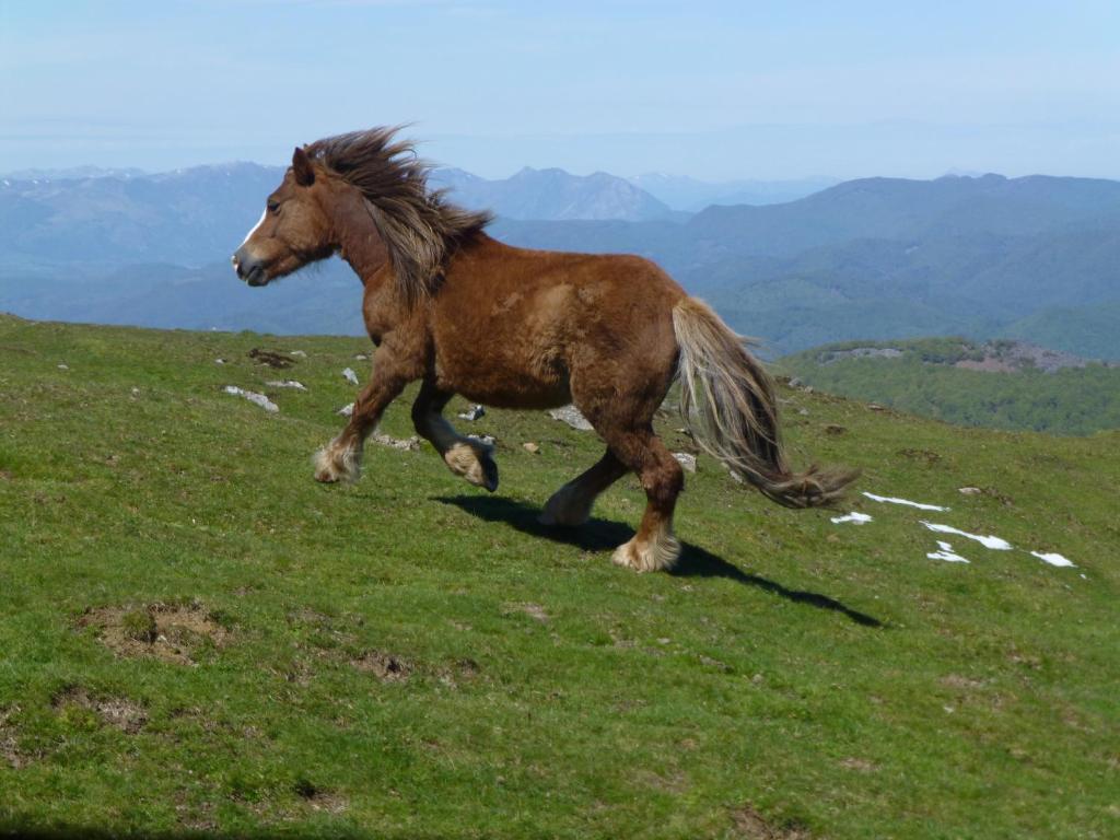 Hostal Rural Arrobi Borda Eugi Екстериор снимка